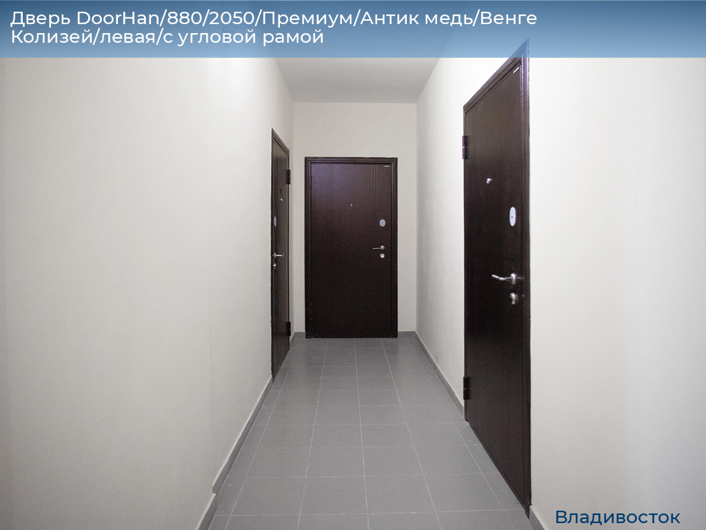 Дверь DoorHan/880/2050/Премиум/Антик медь/Венге Колизей/левая/с угловой рамой, vladivostok.doorhan.ru