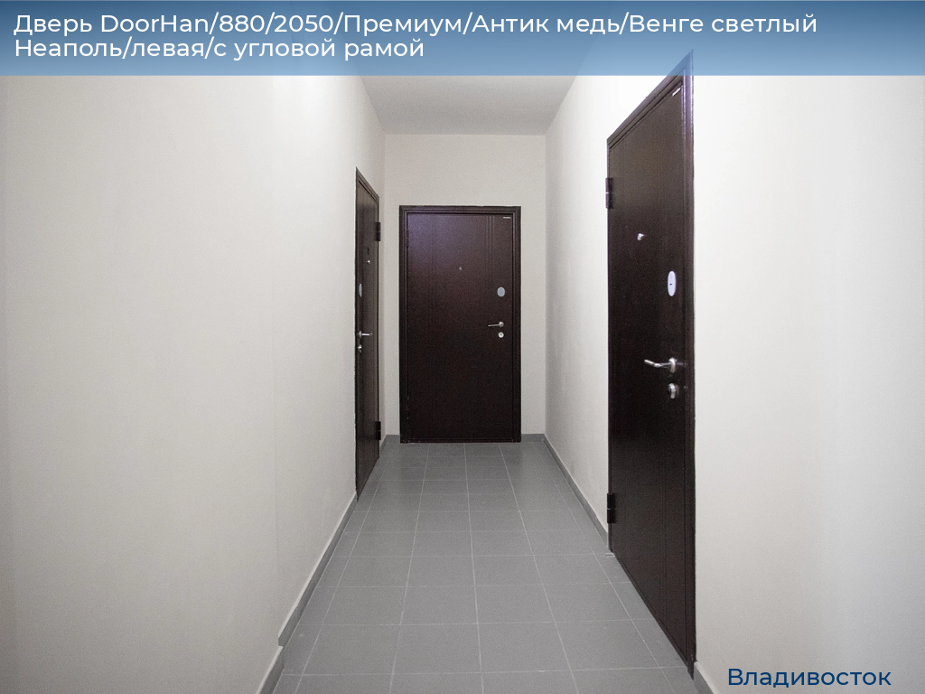 Дверь DoorHan/880/2050/Премиум/Антик медь/Венге светлый Неаполь/левая/с угловой рамой, vladivostok.doorhan.ru