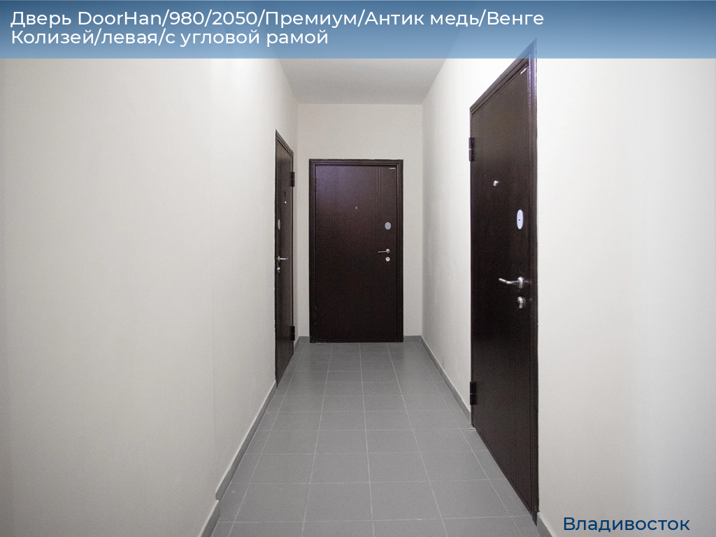 Дверь DoorHan/980/2050/Премиум/Антик медь/Венге Колизей/левая/с угловой рамой, vladivostok.doorhan.ru